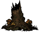 Old Tree - Darkest Dungeon: Weald Curio - Darkest Dungeon: Curio - Darkest Dungeon Game Guide & Walkthrough
