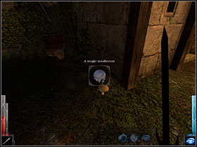 Mushrooms - Dead Man's Trail #3 - Chapter 3: Dead Man's Trail - Dark Messiah of Might and Magic - Game Guide and Walkthrough