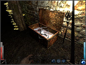 The box with Antidote and Health Potion - Dead Man's Trail #4 - Chapter 3: Dead Man's Trail - Dark Messiah of Might and Magic - Game Guide and Walkthrough