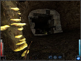 The wall with the hole - Dead Man's Trail #4 - Chapter 3: Dead Man's Trail - Dark Messiah of Might and Magic - Game Guide and Walkthrough