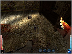 Look around. - The Temple of the Spider #9 - Chapter 5: The Temple of the Spider - Dark Messiah of Might and Magic - Game Guide and Walkthrough