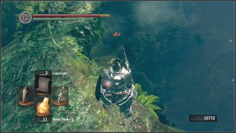 At some point youll get to the junction - Darkroot Basin | Walkthrough - Walkthrough - Dark Souls Game Guide & Walkthrough