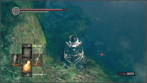 It is best to go to the rocky ledge on the left - Darkroot Basin | Walkthrough - Walkthrough - Dark Souls Game Guide & Walkthrough