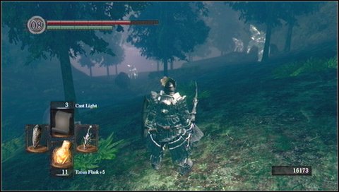 Form this place you go down with another winding path - Darkroot Basin | Walkthrough - Walkthrough - Dark Souls Game Guide & Walkthrough