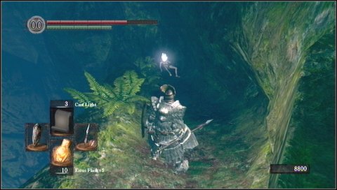 On the other side of the rocky ledge youll find a cavern with a bonfire inside - Darkroot Basin | Walkthrough - Walkthrough - Dark Souls Game Guide & Walkthrough
