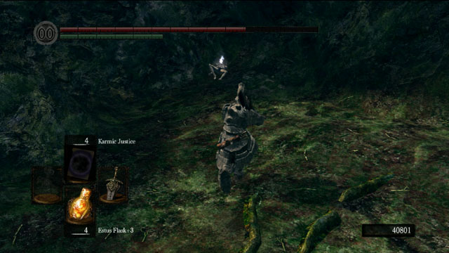 An item around the meadow - Royal Wood - Walkthrough - Dark Souls Game Guide & Walkthrough