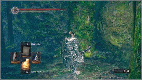 Go down with a side corridor and remove another tree on your way - Darkroot Garden - p. 1 | Walkthrough - Walkthrough - Dark Souls Game Guide & Walkthrough
