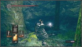 Keep going along the right wall - Darkroot Garden - p. 2 | Walkthrough - Walkthrough - Dark Souls Game Guide & Walkthrough