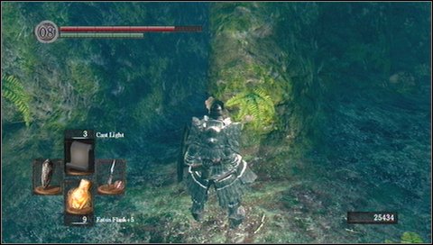 After checking all above places, enter the tower and fight with Moonlight Butterfly - Darkroot Garden - p. 2 | Walkthrough - Walkthrough - Dark Souls Game Guide & Walkthrough