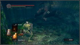 1 - Darkroot Garden II | Walkthrough - Walkthrough - Dark Souls Game Guide & Walkthrough