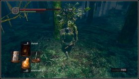 But first check what is in the previous part of the location - another forest area - Darkroot Garden II | Walkthrough - Walkthrough - Dark Souls Game Guide & Walkthrough