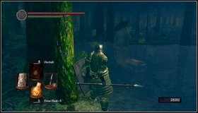 5 - Darkroot Garden II | Walkthrough - Walkthrough - Dark Souls Game Guide & Walkthrough