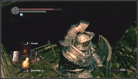 In catacombs youll meet next skeletons - hit them with Divine weapon - and skulls - The Catacombs - p. 1 | Walkthrough - Walkthrough - Dark Souls Game Guide & Walkthrough