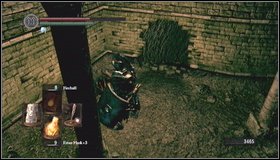 Go to the branch path - The Catacombs - p. 1 | Walkthrough - Walkthrough - Dark Souls Game Guide & Walkthrough