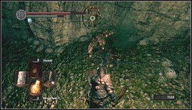 You can leave Vamos chamber through the hole made by him - The Catacombs - p. 3 | Walkthrough - Walkthrough - Dark Souls Game Guide & Walkthrough