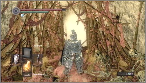 14 - Tomb of Giants - p. 2 | Walkthrough - Walkthrough - Dark Souls Game Guide & Walkthrough