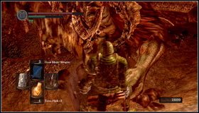 Right behind the bridge youll find an optional path to the left - Demon Ruins - p. 2 | Walkthrough - Walkthrough - Dark Souls Game Guide & Walkthrough