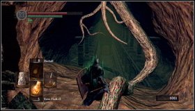 Before the fight, youll see a path to the right - you can pick up an item there - Demon Ruins - p. 2 | Walkthrough - Walkthrough - Dark Souls Game Guide & Walkthrough