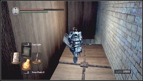 Another cell below is closed - The Dukes Archives - Prison | Walkthrough - Walkthrough - Dark Souls Game Guide & Walkthrough