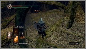 7 - Bonus - The Great Hollow | Walkthrough - Walkthrough - Dark Souls Game Guide & Walkthrough