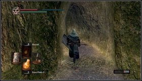 8 - Bonus - The Great Hollow | Walkthrough - Walkthrough - Dark Souls Game Guide & Walkthrough