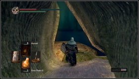 If you do not want to fight with tough mushrooms, bypass them by running to the side corridor - Bonus - The Great Hollow | Walkthrough - Walkthrough - Dark Souls Game Guide & Walkthrough