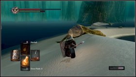 The basic tactics is to fight in a close distance - Hydra | How to kill a boss - How to kill a boss - Dark Souls Game Guide & Walkthrough