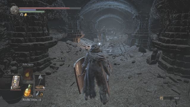 Defeat the enemies one after another. - Catacombs of Carthus - Walkthrough - Dark Souls III Game Guide & Walkthrough