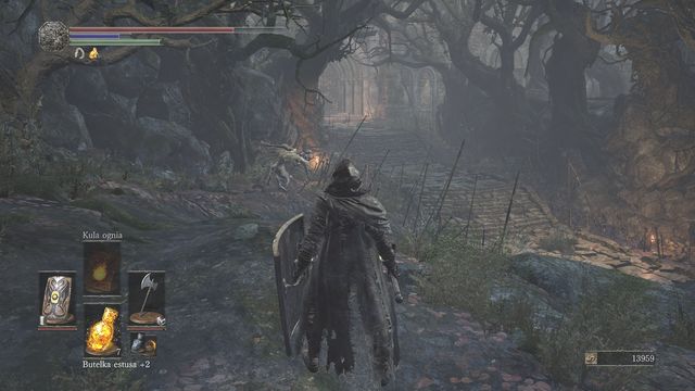 The passage will take you to the arena. - Farron Keep - Walkthrough - Dark Souls III Game Guide & Walkthrough