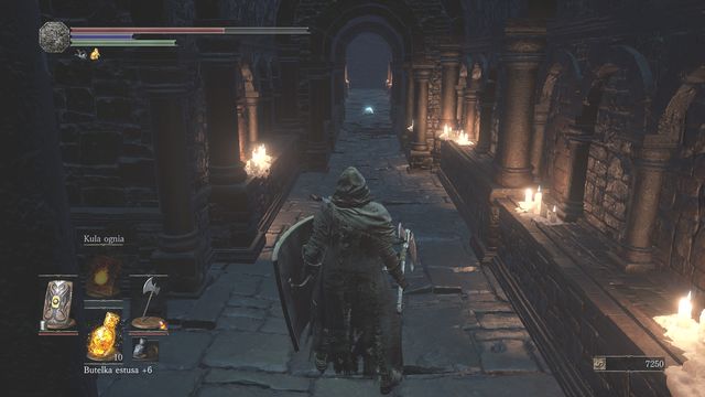 Dont run after the lizard - you will fall into a pit, right into a trap. - Profaned Capital - Return to the Irithyll Dungeon - Walkthrough - Dark Souls III Game Guide & Walkthrough