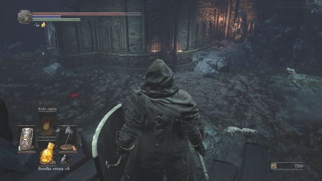 You will get to the location presented in the screenshot (get to the end of the bridge to obtain Blooming Purple Moss Clump) - Profaned Capital - Return to the Irithyll Dungeon - Walkthrough - Dark Souls III Game Guide & Walkthrough