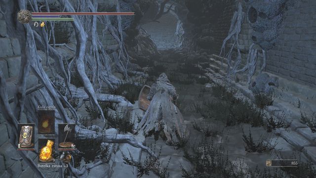 Turn left before the stairs in order to encounter Tsorig. - Smouldering Lake - Walkthrough - Dark Souls III Game Guide & Walkthrough