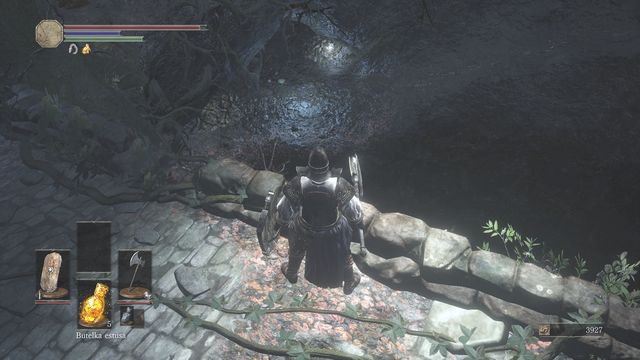 Jump down to collect items. - Road of Sacrifices - Walkthrough - Dark Souls III Game Guide & Walkthrough