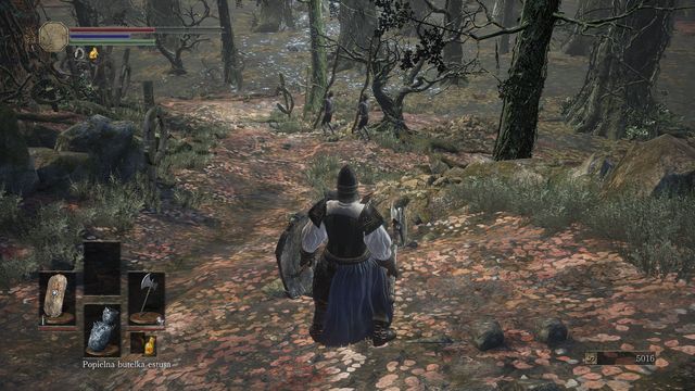 Although swamps are a large and dangerous area, you can find a number of interesting items there - Road of Sacrifices - Walkthrough - Dark Souls III Game Guide & Walkthrough