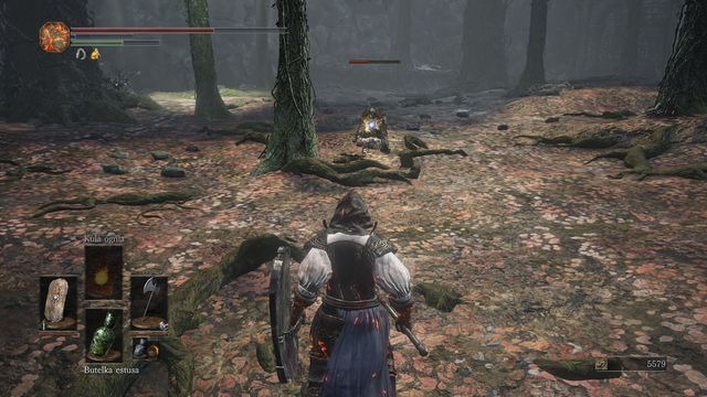 Attack when your foes are healing. - Road of Sacrifices - Swamp - Walkthrough - Dark Souls III Game Guide & Walkthrough