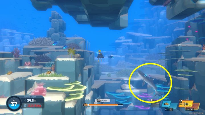 5 - Dave the Diver: How to prepare Whole Roasted Shark Head dish? - Sushi bar - Dave the Diver Guide