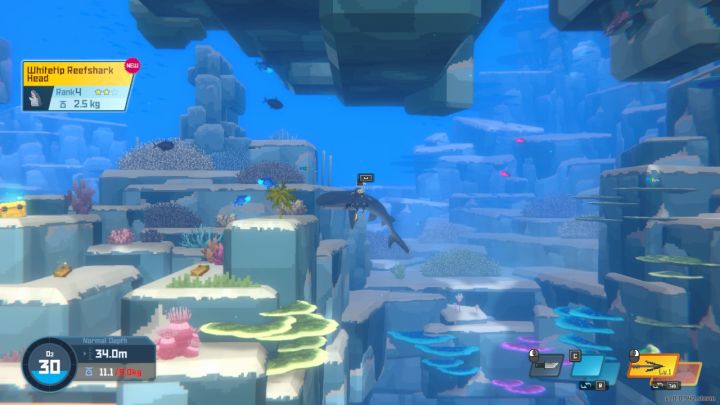 7 - Dave the Diver: How to prepare Whole Roasted Shark Head dish? - Sushi bar - Dave the Diver Guide