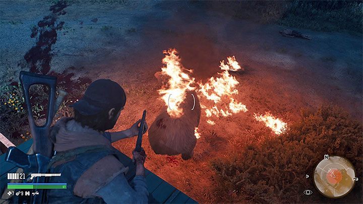 Bears can also occur in further parts of the game but they will not have any special health bars - Days Gone: - How to kil Bear boss in Lots of Sick People? - Combat - Days Gone Guide