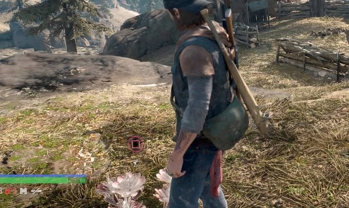 Different plant species grow in different areas of the map - collect them all! - Days Gone: Secrets types - World Atlas - Days Gone Guide