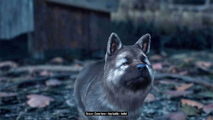Yes, in Days Gone you can pet the dog, however, this becomes available only during a cutscene initiated after you make sufficient progress in the story campaign - Days Gone: Can you pet the dog? - Exploration - Days Gone Guide