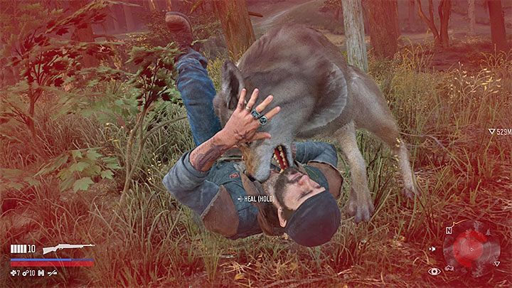 10 Beginner's Tips for Days Gone