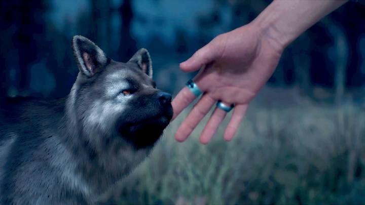 Doggie for Boozer - Days Gone: Surviving Isnt Living - walkthrough - Main storyline - Days Gone Guide