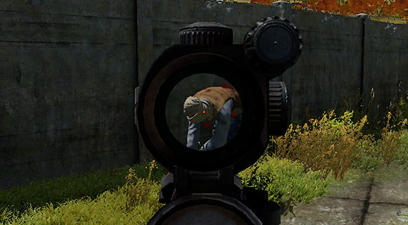 The Humanity gauge in the debug monitor determines your character's nature - Humanity - Status effects - DayZ - Game Guide and Walkthrough