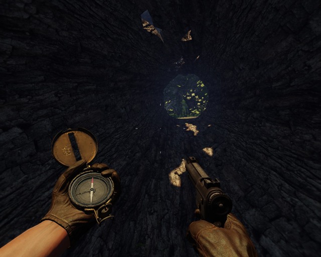 You have to go along this path inside a tree to get to the statue. - Mayan Jungle | Treasures - Treasures - Deadfall Adventures Game Guide & Walkthrough