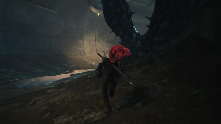 In the tunnel you will come across red blood cocoons, which are close to the roots of Qlipoth - Mission 03 - Flying Hunter | Devil May Cry 5 walkthrough - Main story missions - Devil May Cry 5 Guide