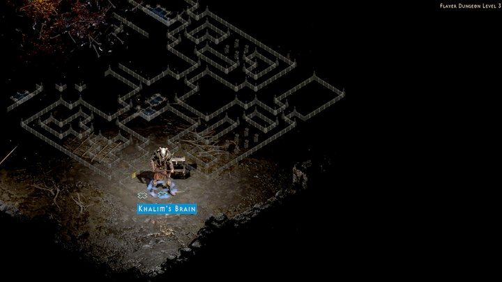 The Flayer Jungle - this is the second location you need to go to - Diablo 2 Resurrected: Khalims Will - walkthrough - Act 3 - Diablo 2 Resurrected Guide