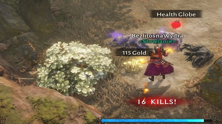 Investigating 30 Shruberries in this location guarantees you will get the Exploration Achievement - Diablo Immortal: Mount Zavain - location map - Maps - Diablo Immortal Guide