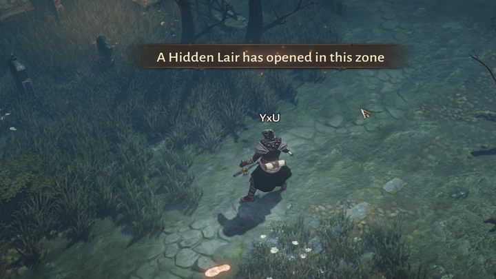 Lairs open to all players and you are informed about this fact by a message in the center of the screen - Diablo Immortal: Hidden Lairs - Activities - Diablo Immortal Guide