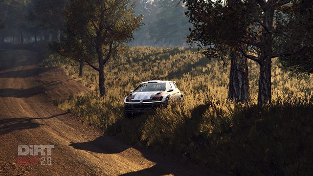 1 - Driving basics, tips and controls in DiRT Rally 2.0 - Basics - DiRT Rally 2.0 Guide
