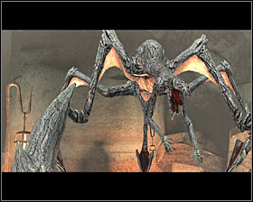 You do not have to run after Pol, because you wont be able to save him anyway - Mirror Image - p. 2; Back from Sundermount - Act II - Dragon Age II Game Guide